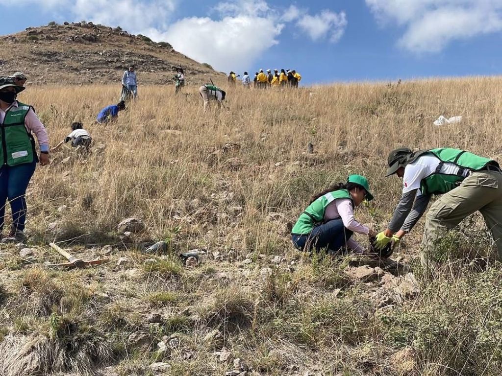 GOBIERNO ESTATAL PROMUEVE UN DESARROLLO&nbsp;RESPONSABLE