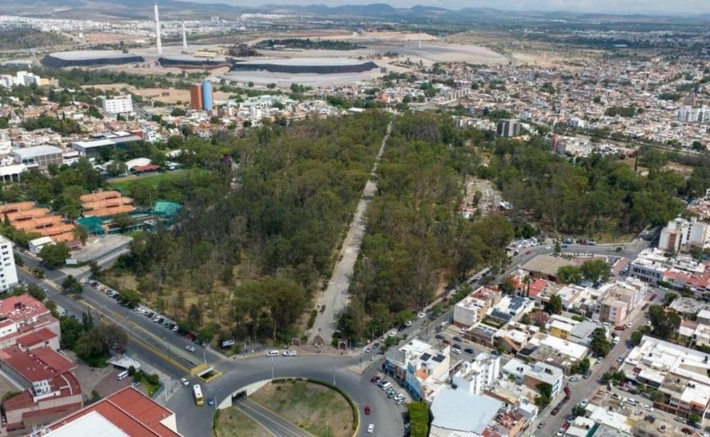 Se compromete Comisión edilicia de Servicios a actualizar normatividad para proteger&nbsp;arbolado
