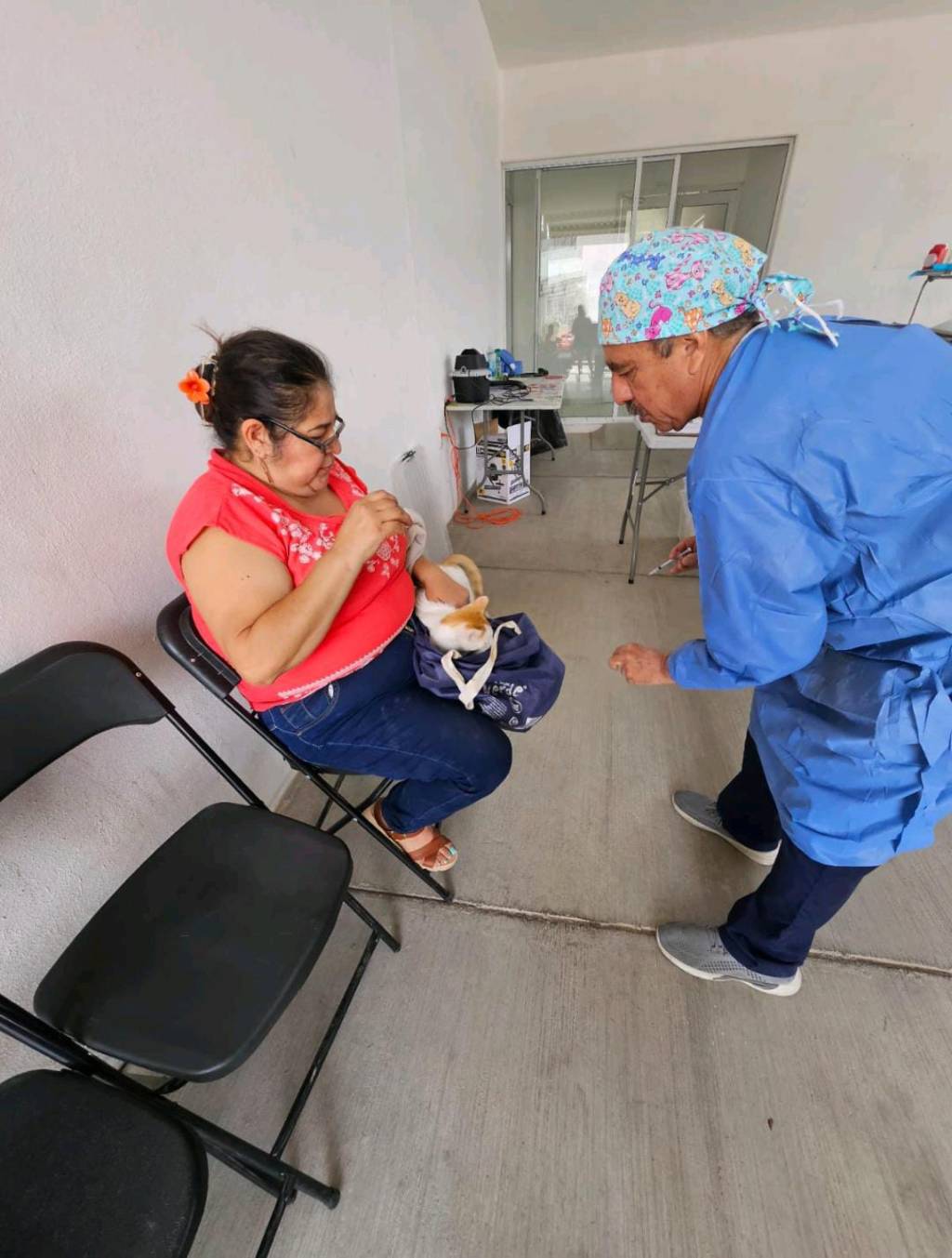 Promueven cuidado animal con esterilizaciones en Villa de&nbsp;Pozos