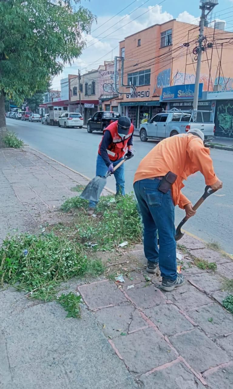 Gobierno Municipal intensifica los trabajos de mantenimiento en diversas zonas de la&nbsp;ciudad