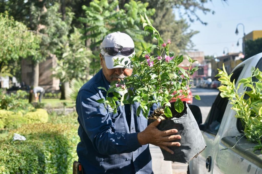Embellecen San Luis Capital con flores de ornato en espacios&nbsp;emblemáticos
