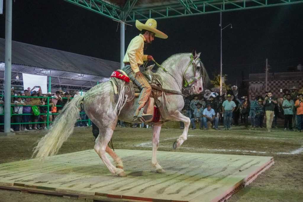 ROTUNDO ÉXITO DEL CAMPEONATO DE CABALLOS BAILADORES EN LA&nbsp;FENAPO