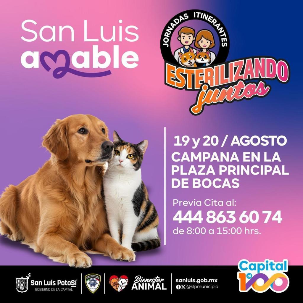 Llega este martes y miércoles “Esterilizando Juntos” hasta la Delegación de&nbsp;Bocas