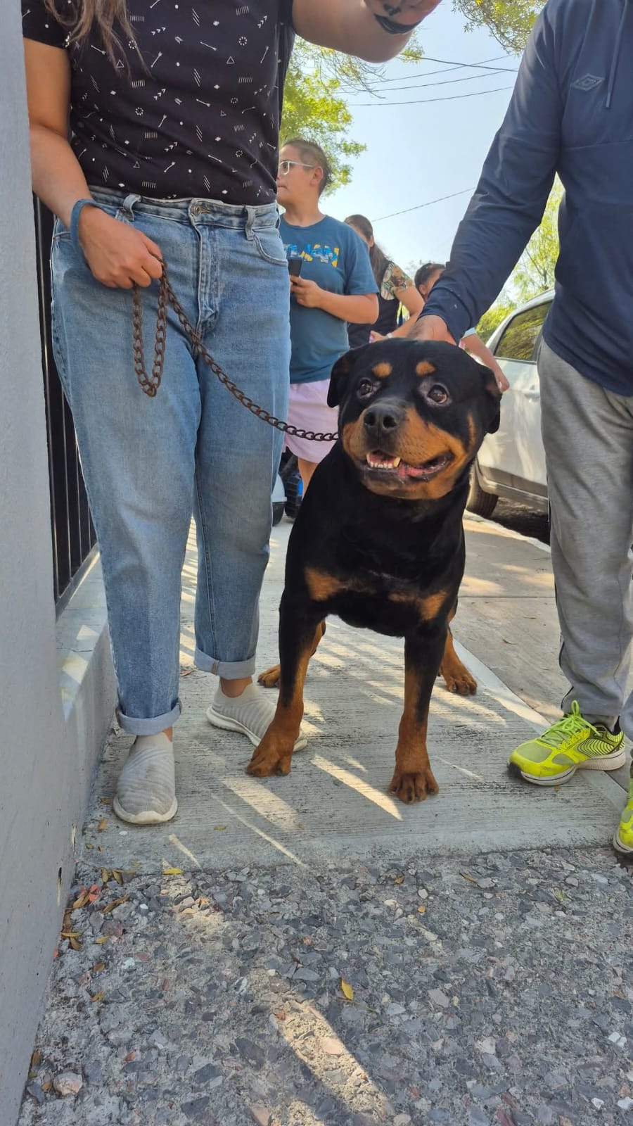 VILLA DE POZOS REALIZÓ EXITOSA JORNADA DE VACUNACIÓN&nbsp;ANTIRRÁBICA