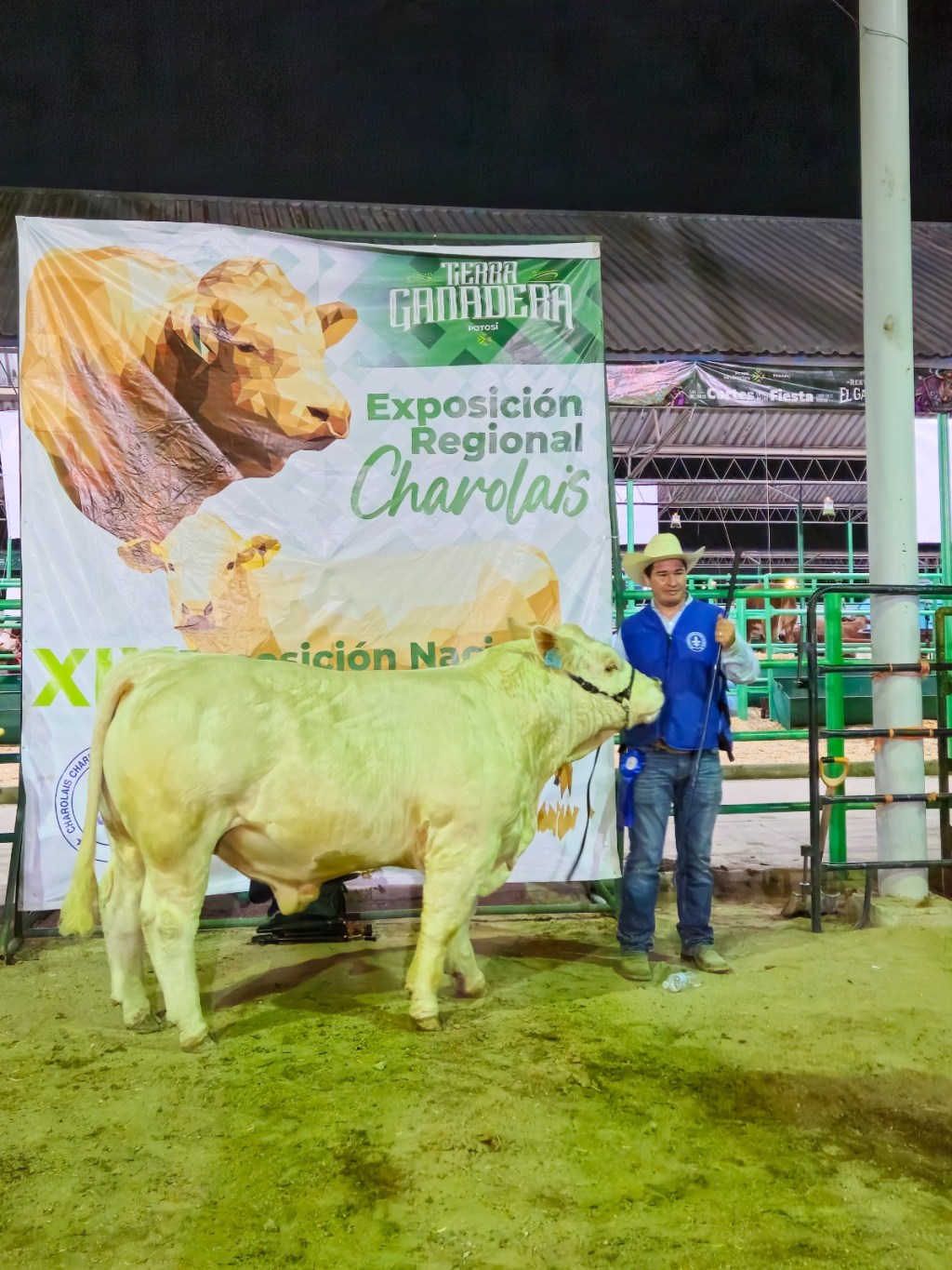 REALIZAN CON ÉXITO MUESTRA DE GANADO CHARBRAY EN LA&nbsp;FENAPO