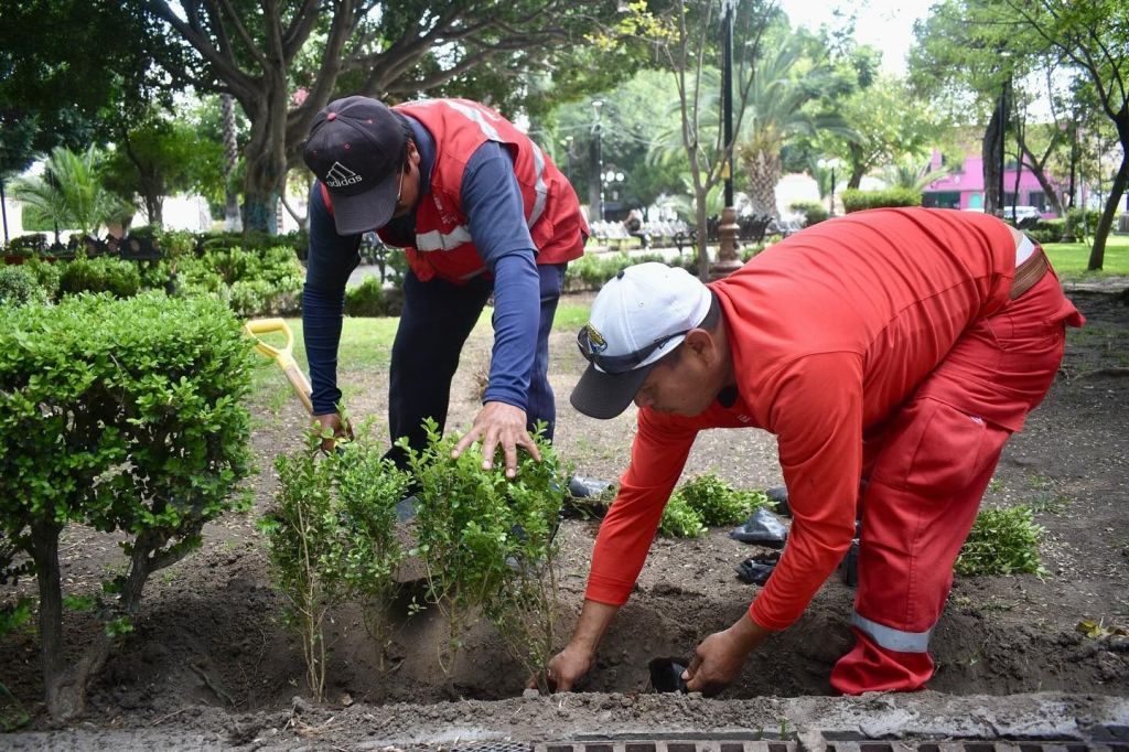 Ayuntamiento de SLP refuerza limpieza y mantenimiento en espacios&nbsp;públicos