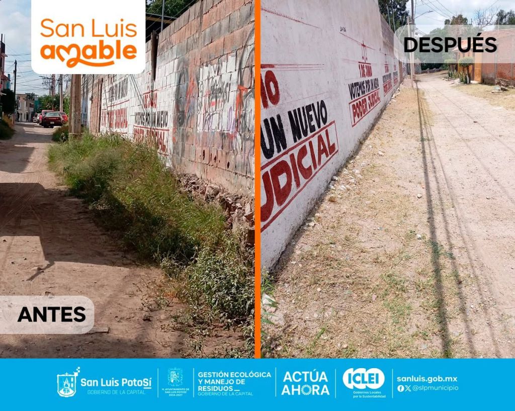 Gobierno de la Capital retira maleza y poda en Prolongación&nbsp;Anáhuac