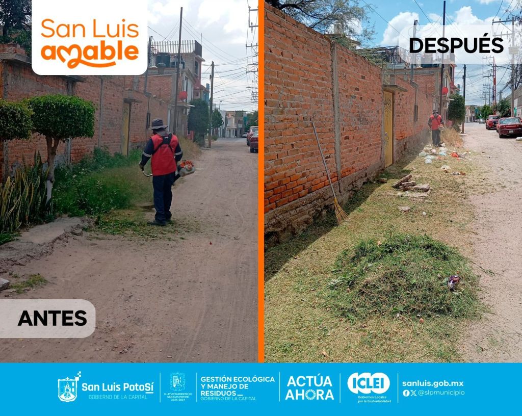 Gobierno de la Capital retira maleza y poda en Prolongación&nbsp;Anáhuac