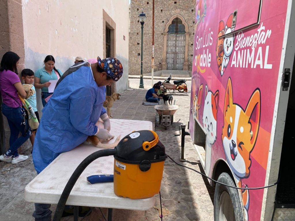 Bocas se suma a acciones institucionales municipales para el Bienestar&nbsp;Animal