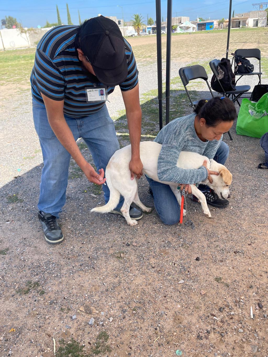 VILLA DE POZOS REALIZÓ EXITOSA VACUNACIÓN ANTIRRÁBICA EN OLINDA