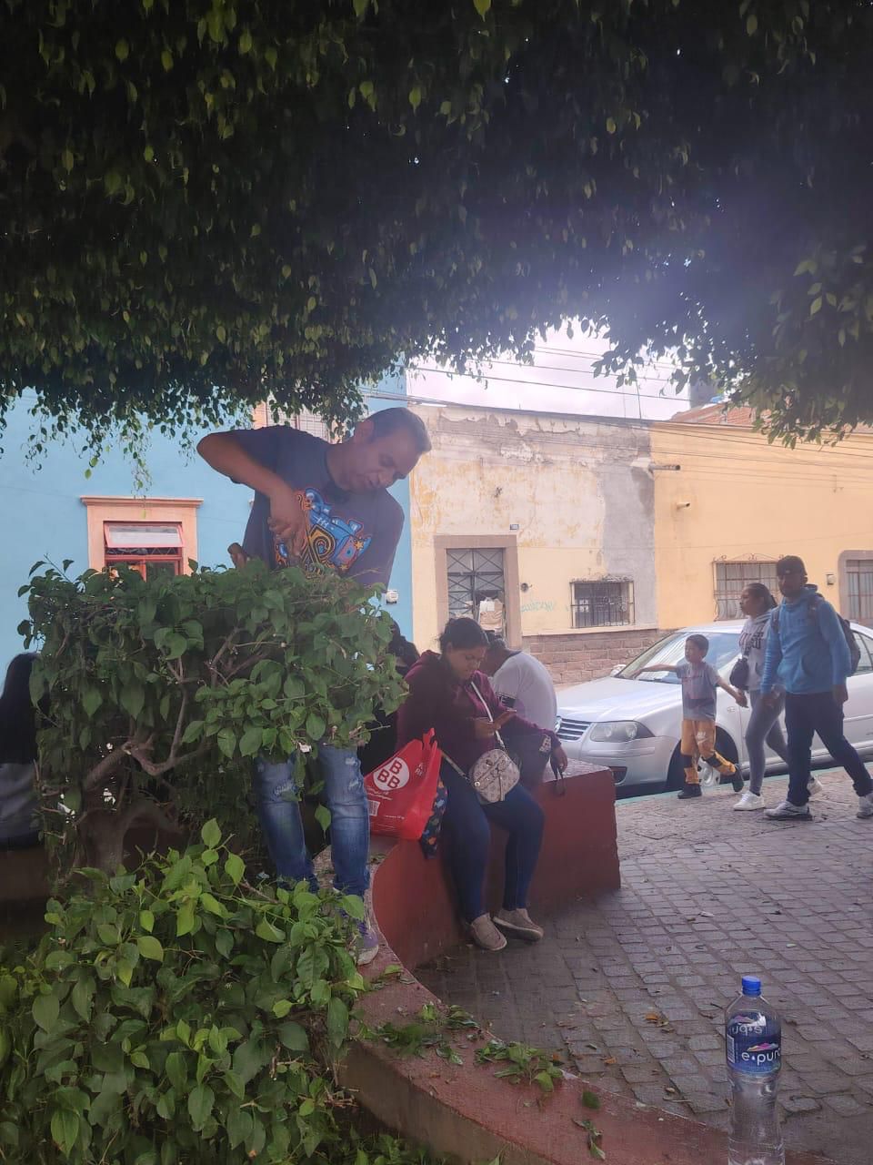 Avanza mantenimiento integral en el Mercado Camilo&nbsp;Arriaga