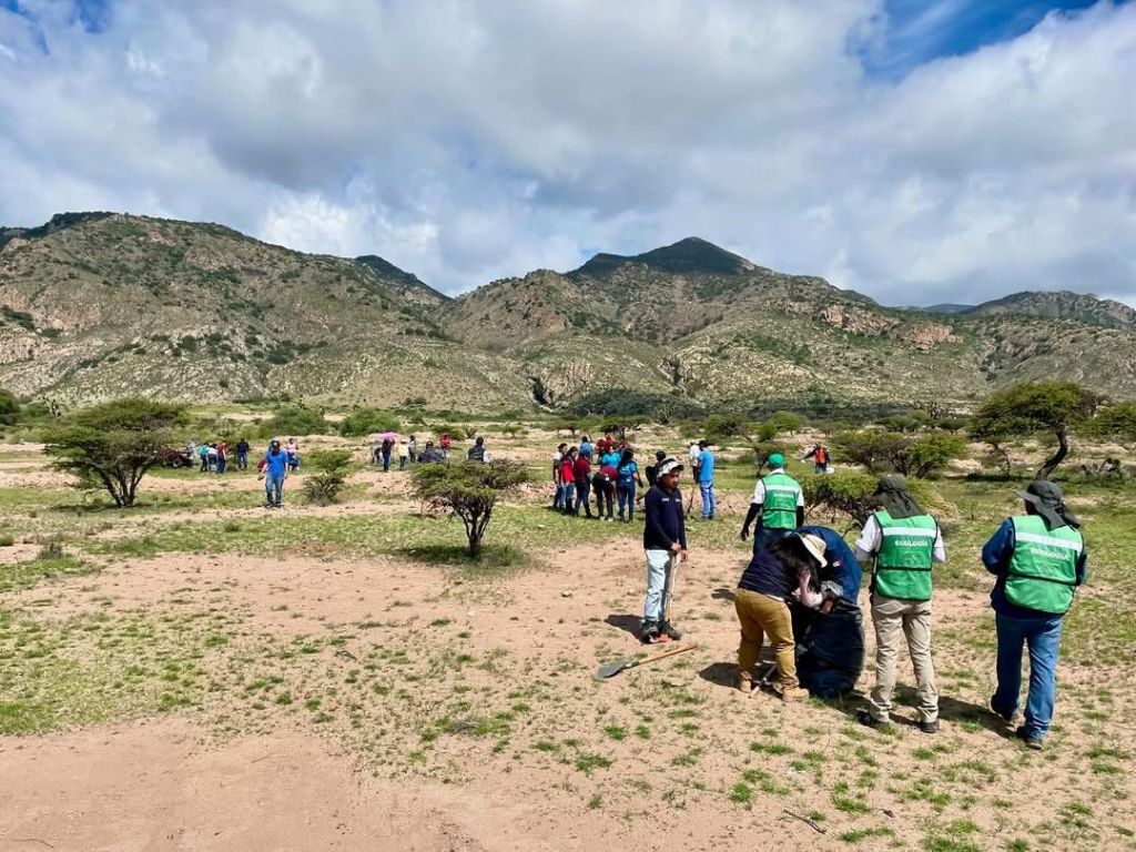 CON 1 MILLÓN DE PLANTAS, ESTADO REFORESTARÁ SIERRA DE SAN&nbsp;MIGUELITO