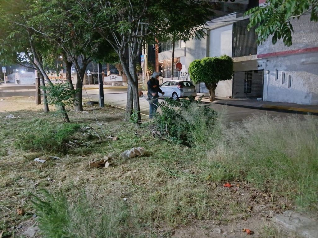 Refuerza ayuntamiento limpieza urbana en colonias y vialidades de San Luis&nbsp;Capital