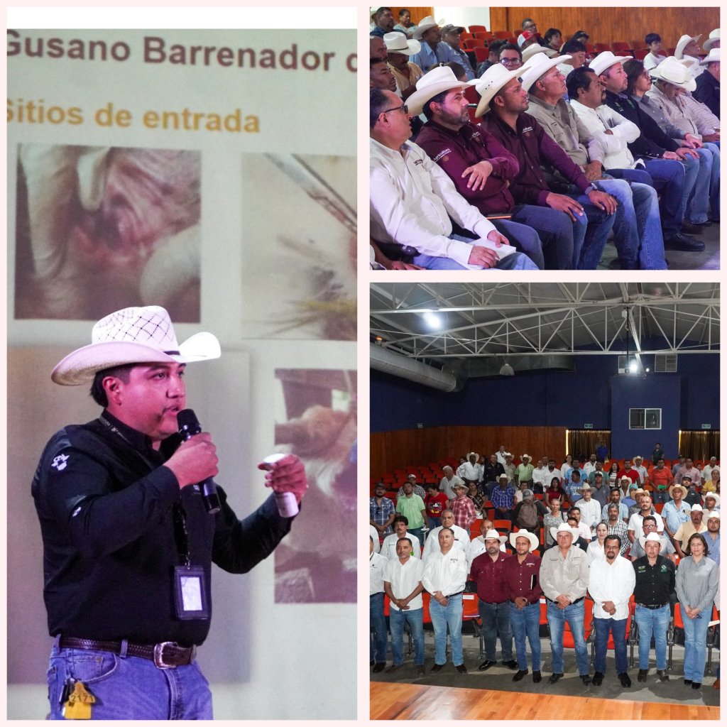 REFUERZA ESTADO ACCIONES DE VIGILANCIA POR GUSANO BARRENADOR DEL&nbsp;GANADO