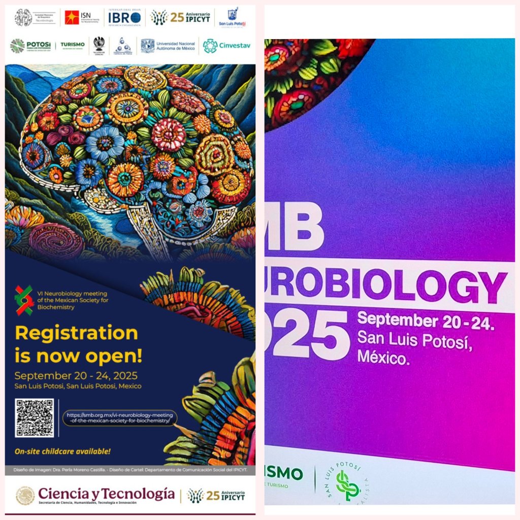 SECTUR PRESENTÓ EL VI CONGRESO INTERNACIONAL DE NEUROBIOLOGÍA EN SLP ESTE PRÓXIMO DE&nbsp;SEPTIEMBRE.