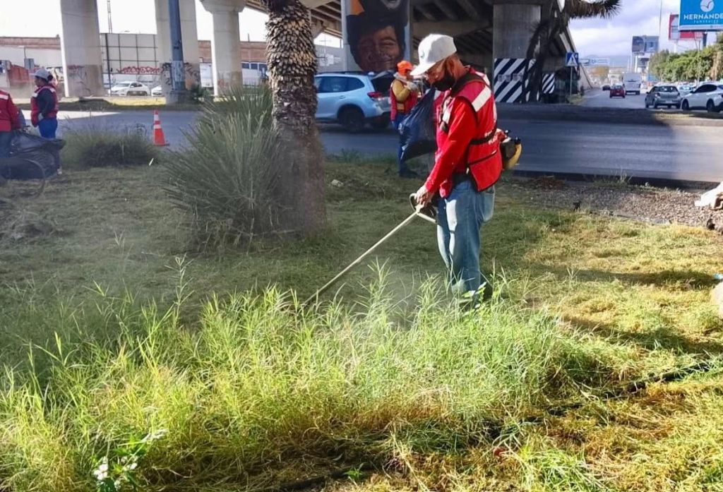 Gobierno de la Capital realiza mantenimiento en la glorieta&nbsp;Juárez