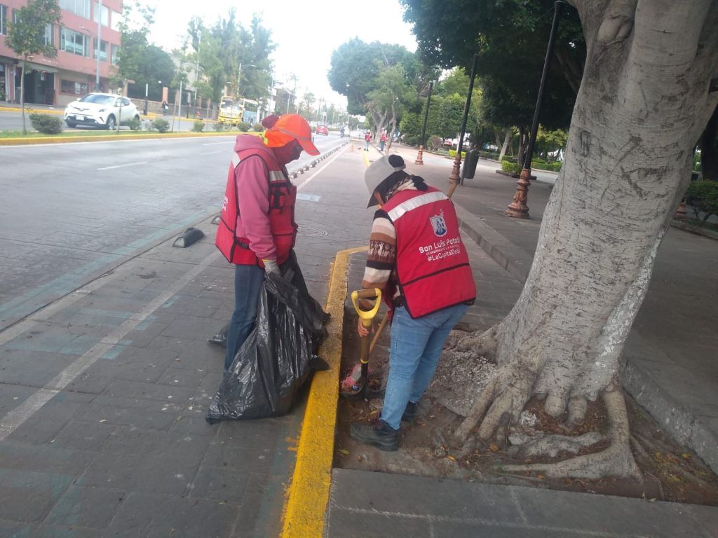 Limpieza y mantenimiento garantizan vialidades seguras en San Luis&nbsp;Potosí