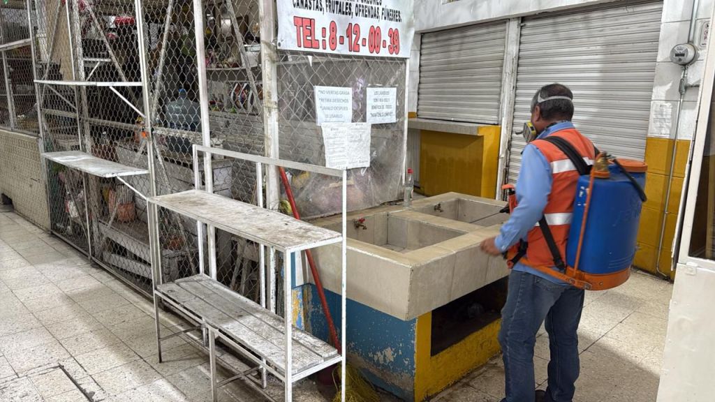 Gobierno de la Capital avanza la segunda etapa de fumigación en mercados&nbsp;municipales