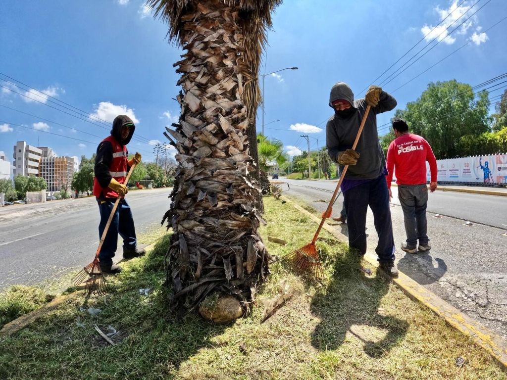 Mejoran espacios verdes con trabajos de limpieza y mantenimiento en San Luis&nbsp;Capital