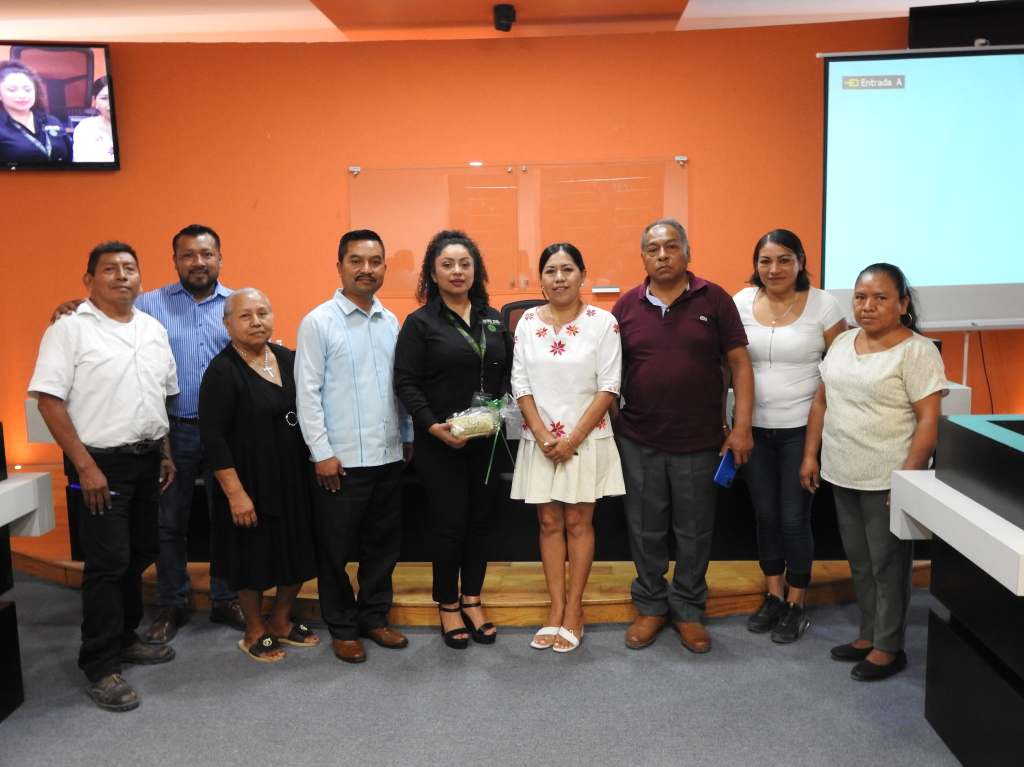 IMPULSAN ACCIONES EN FAVOR DE PUEBLOS&nbsp;ORIGINARIOS