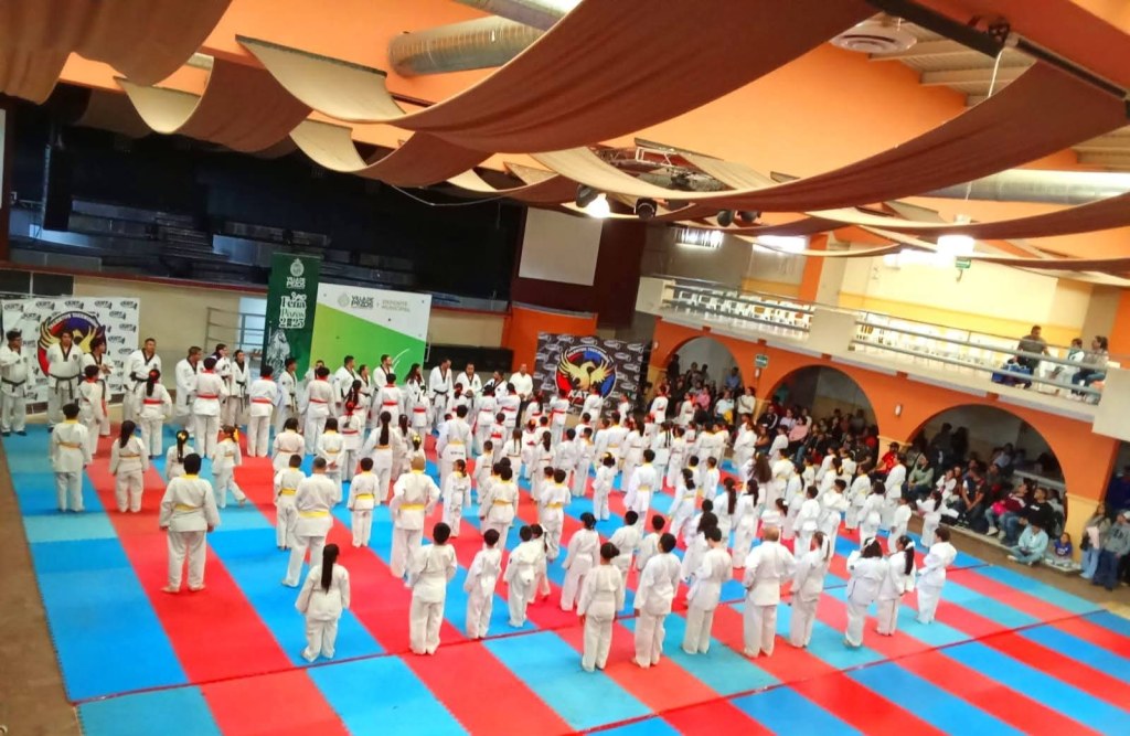 VILLA DE POZOS IMPULSA TALENTO DE TAEKWONDO