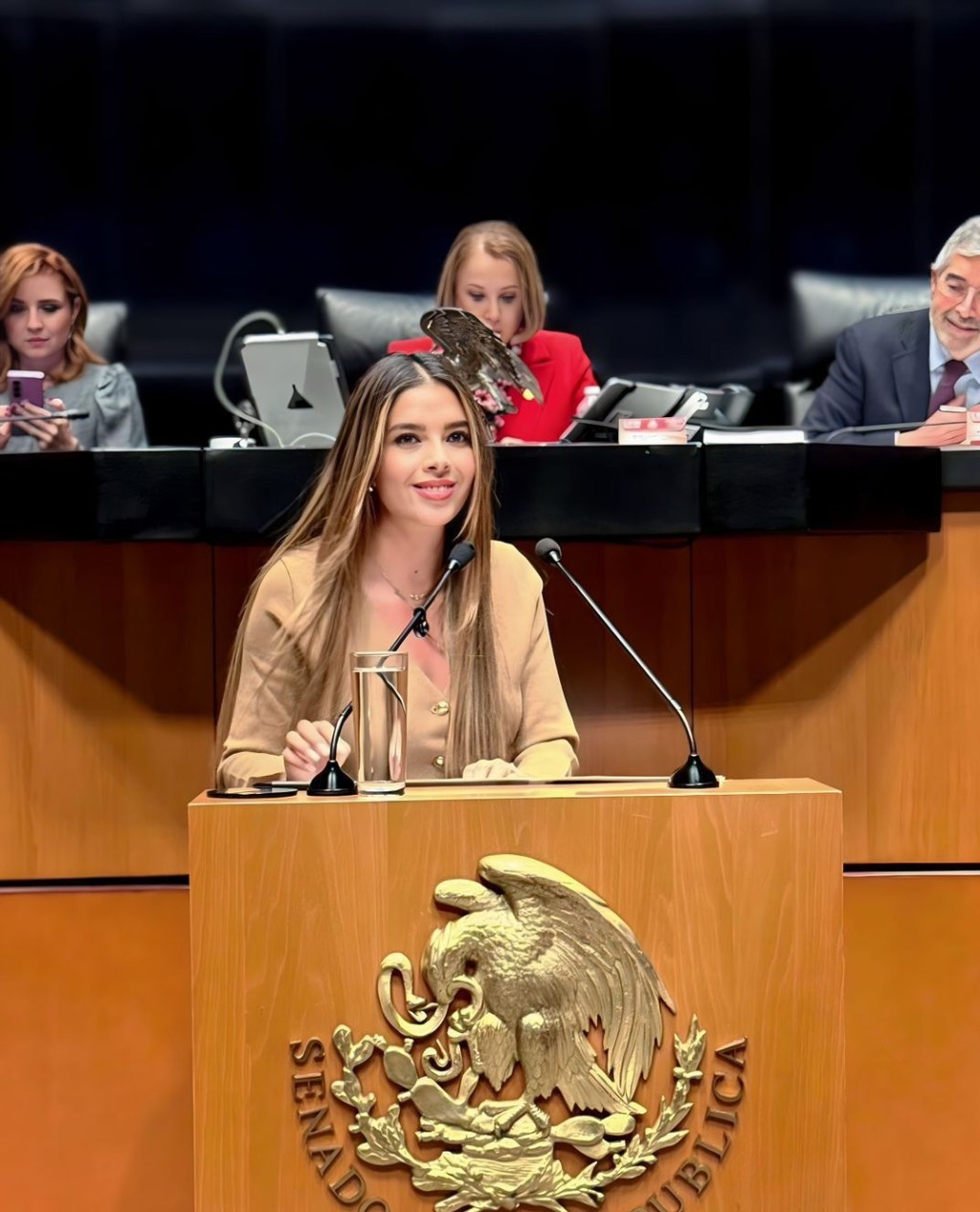 RUTH GONZÁLEZ SILVA RECONOCE LABOR DE JUAN RAMÓN DE LA FUENTE Y LLAMA A FORTALECER LA DIPLOMACIA HUMANISTA DE&nbsp;MÉXICO