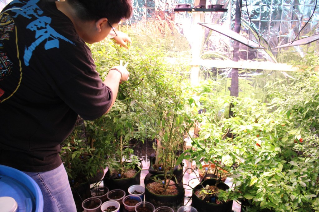 ESTUDIANTES DESARROLLAN INNOVADOR SISTEMA DE CULTIVO DE&nbsp;PRECISIÓN