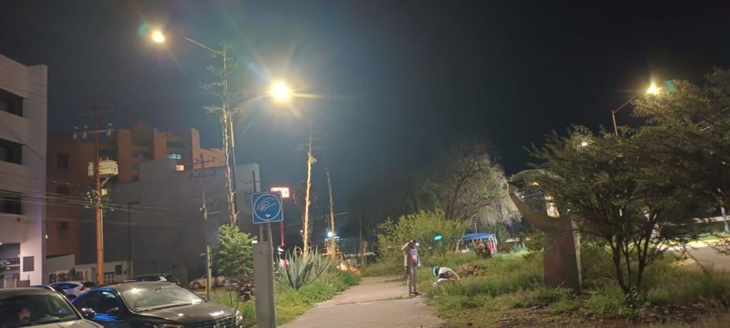 Ayuntamiento repara alumbrado público afectado por raíces en Avenida Jesús&nbsp;Goytortúa