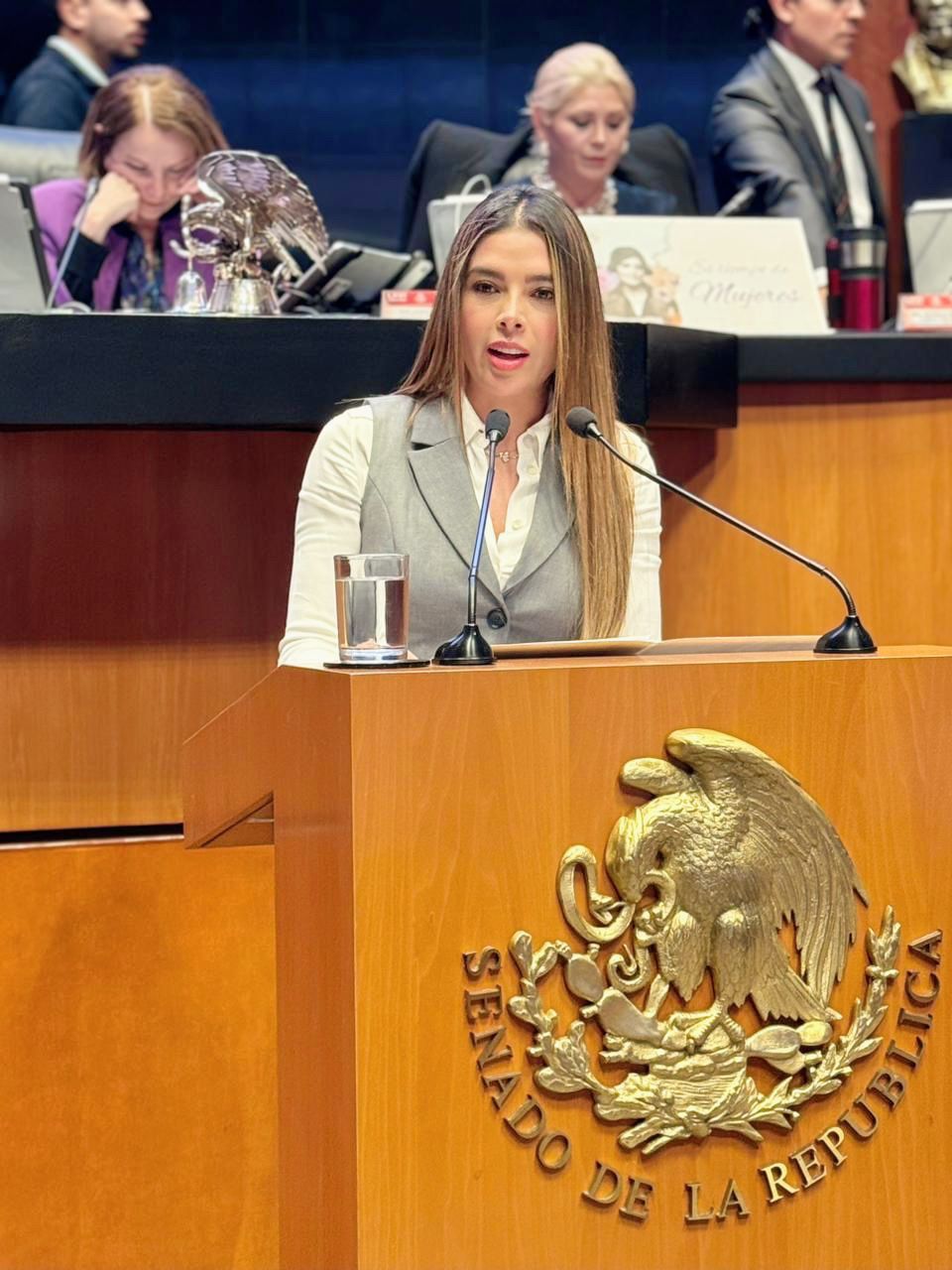 RUTH GONZÁLEZ SILVA PROPONE TIPIFICAR LA SUPLANTACIÓN DE IDENTIDAD COMO DELITO&nbsp;FEDERAL