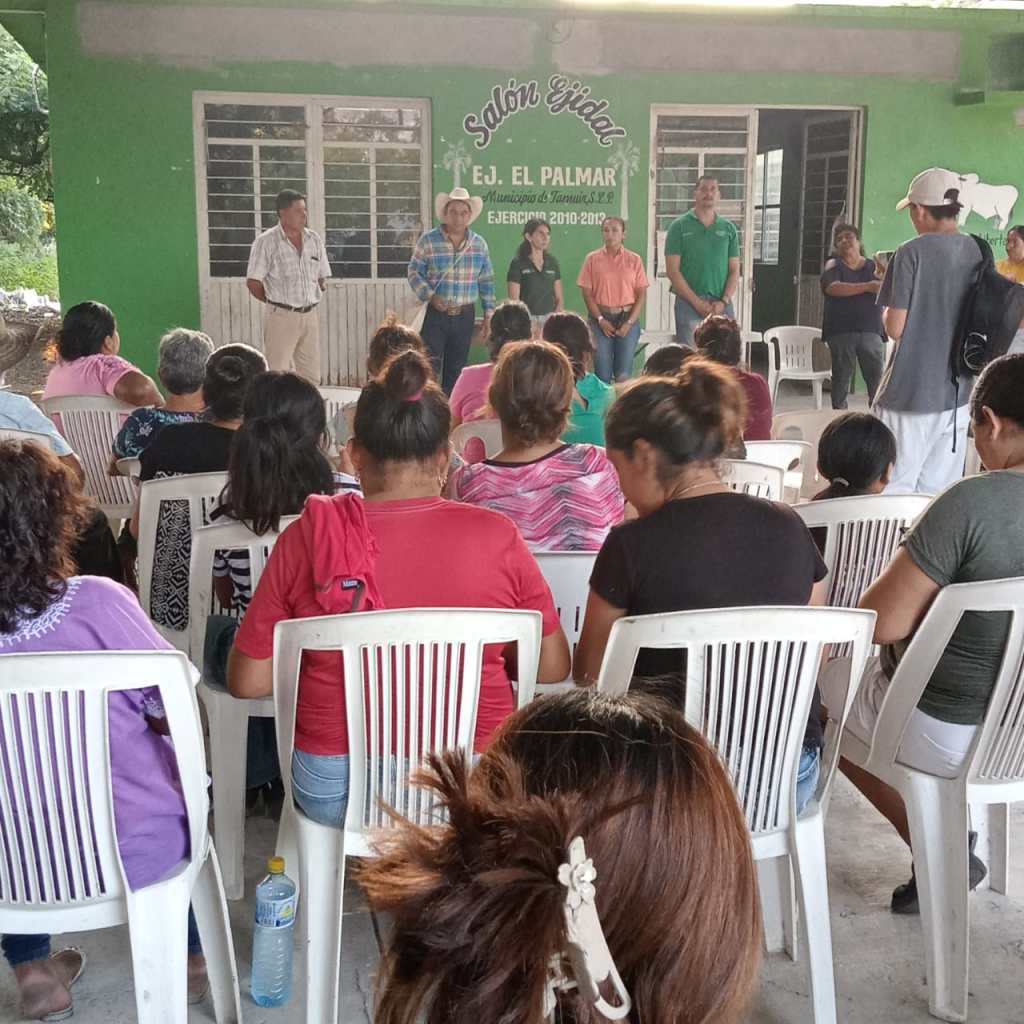 APOYO INTEGRAL A MUJERES Y NIÑAS AFECTADAS POR LAS&nbsp;LLUVIAS