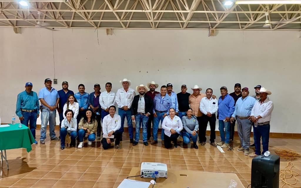 CONTROL DE PLAGAS Y VIGILANCIA CONSTANTE EN CULTIVOS&nbsp;POTOSINOS