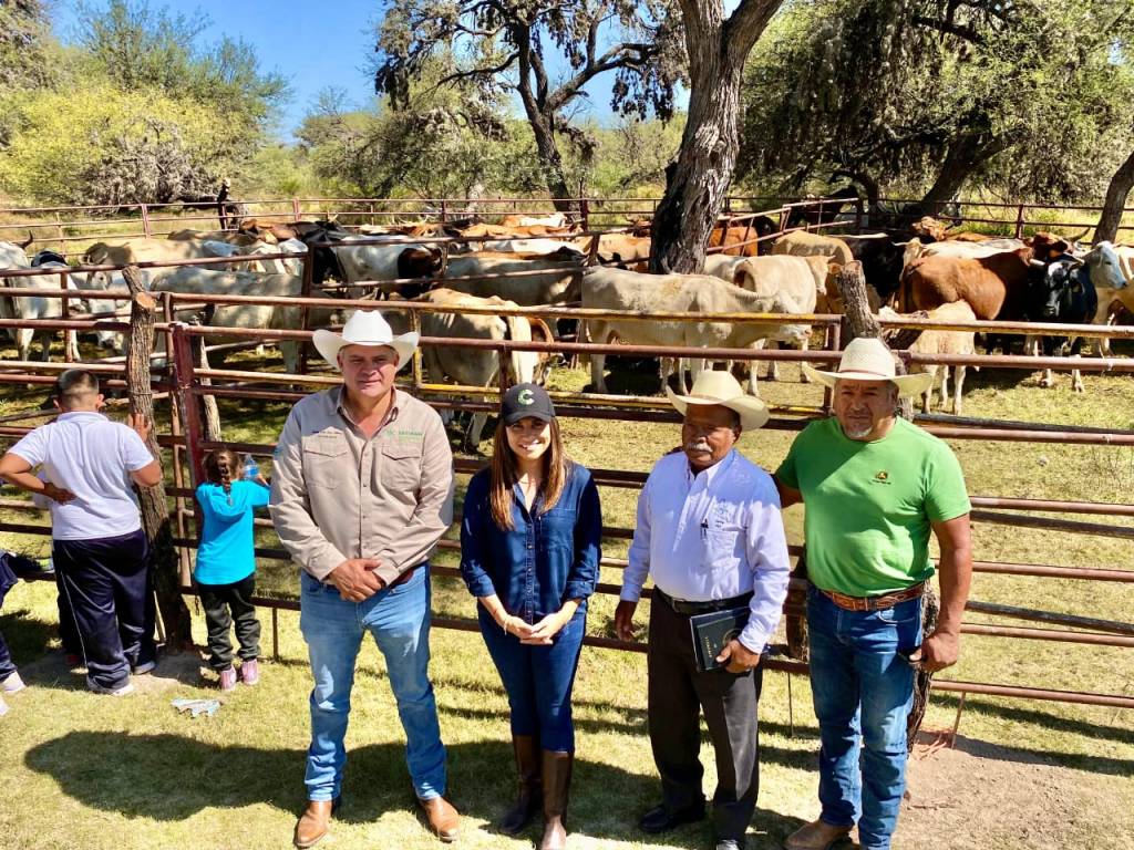 SAN LUIS INTENSIFICA CAMPAÑA DE GANADO LIBRE DE&nbsp;TUBERCULOSIS