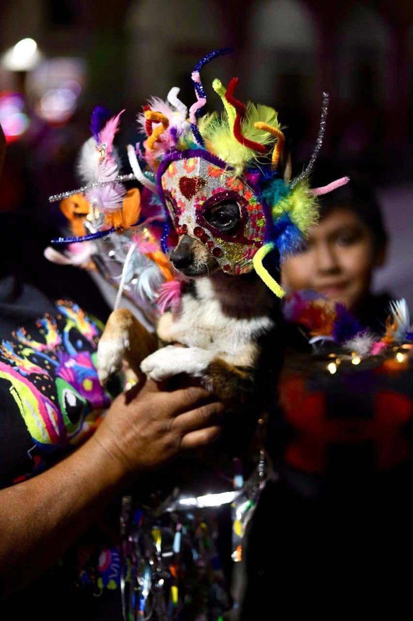 ISMAEL HERNÁNDEZ IMPULSA ACTIVIDADES CULTURALES Y DE BIENESTAR ANIMAL EN EL FESTIVAL DE LAS ÁNIMAS&nbsp;2025