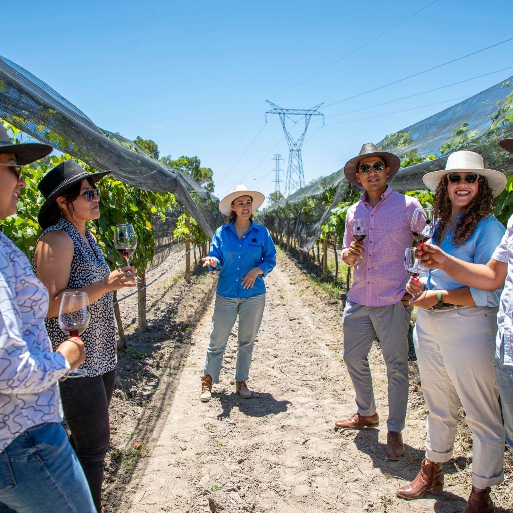 AYUNTAMIENTO DE SOLEDAD FORTALECE EL TALENTO TURÍSTICO LOCAL CON CAPACITACIÓN GRATUITA