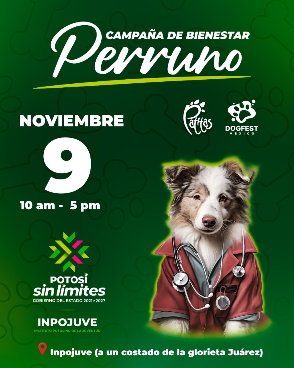 GOBIERNO IMPULSA EL CUIDADO Y ADOPCIÓN RESPONSABLE DE&nbsp;MASCOTAS