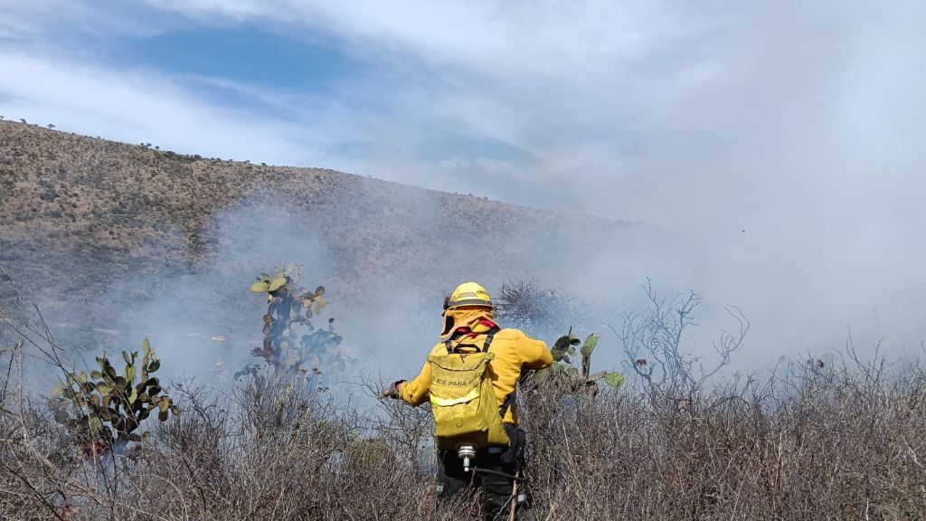 FORTALECEN ESTRATEGIA ESTATAL CONTRA INCENDIOS&nbsp;FORESTALES