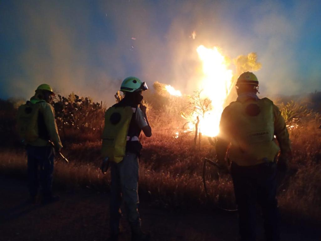 COORDINA GOBIERNO ESTATAL CONTROL Y LIQUIDACIÓN DE INCENDIO FORESTAL EN VILLA DE&nbsp;REYES