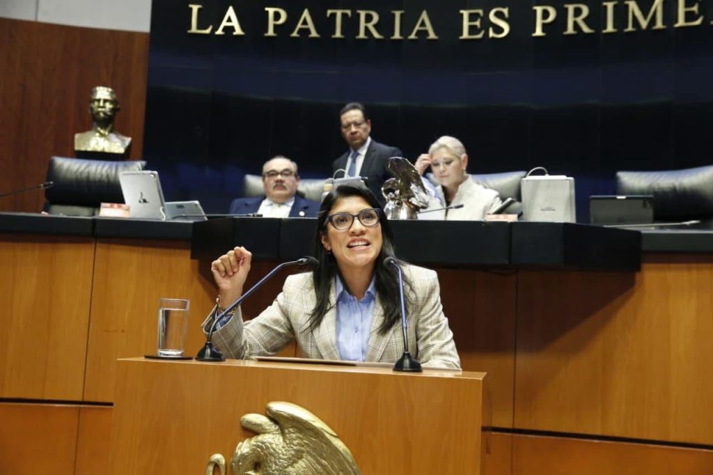 Nueva Ley de Aguas de Morena, “un grave retroceso” que centraliza y amenaza derechos: Vero&nbsp;Rodríguez