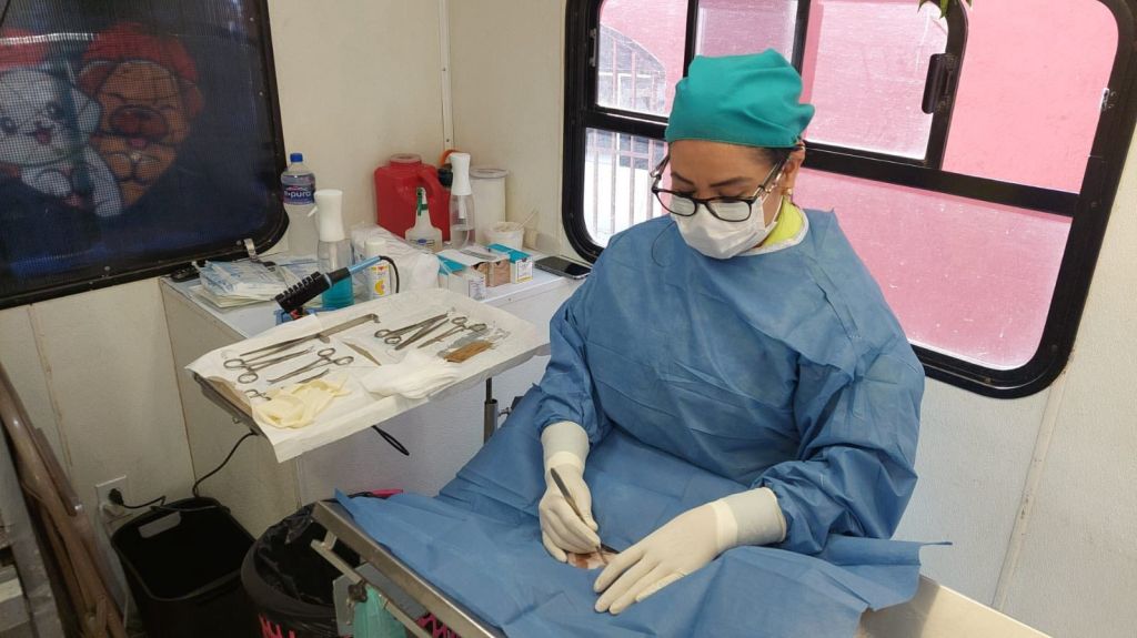 Llega campaña municipal “Esterilizando Juntos” a la comunidad de&nbsp;Peñasco