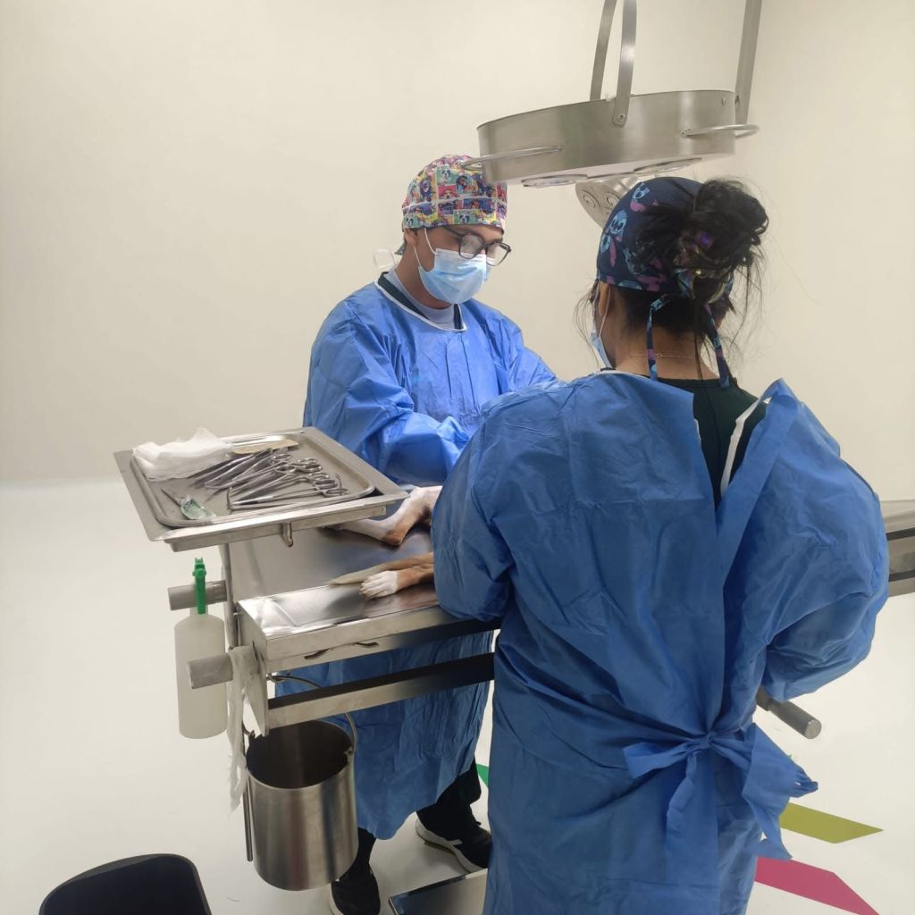 SAN LUIS POTOSÍ FORTALECE LA PROTECCIÓN ANIMAL CON TRABAJO CONJUNTO