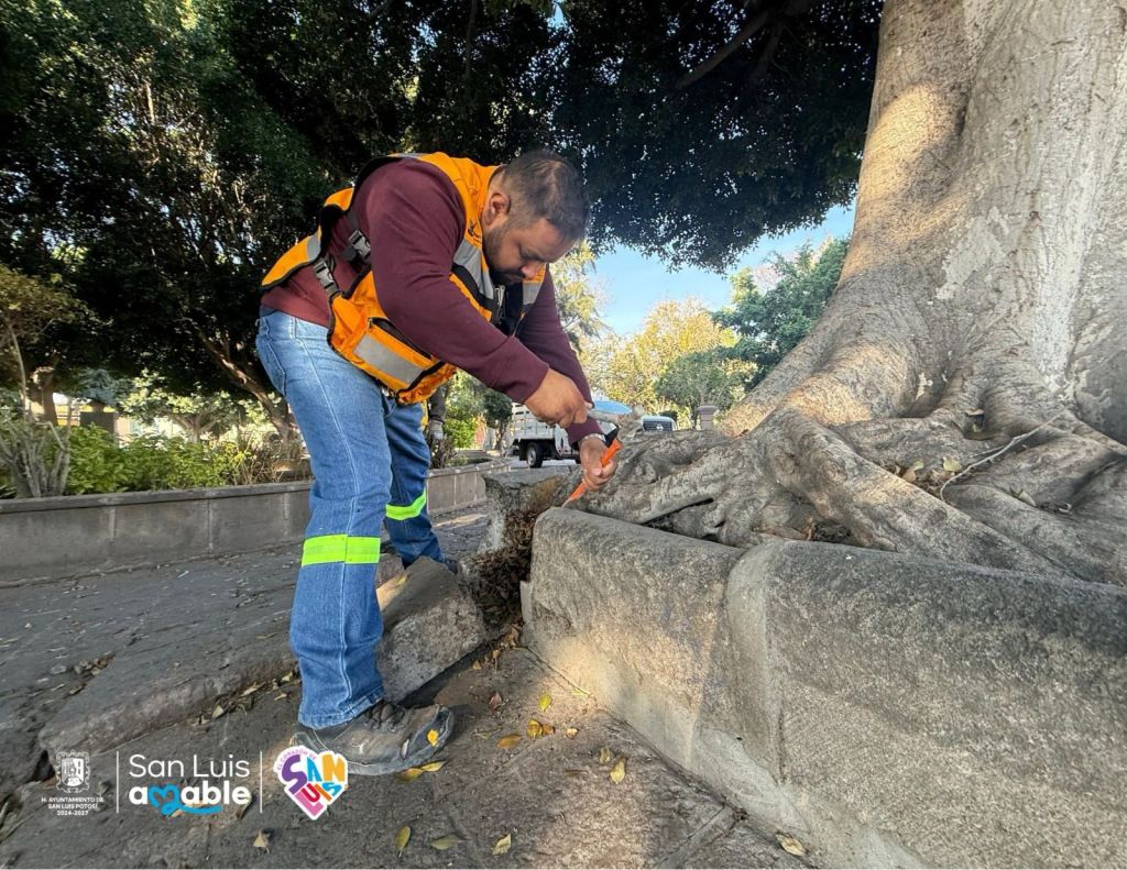 Ayuntamiento de SLP refuerza mantenimiento urbano para conservar los espacios&nbsp;públicos