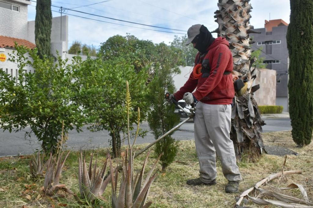 Capital al 100 y Domingo de Pilas transforman más de 500 colonias en San Luis&nbsp;Capital