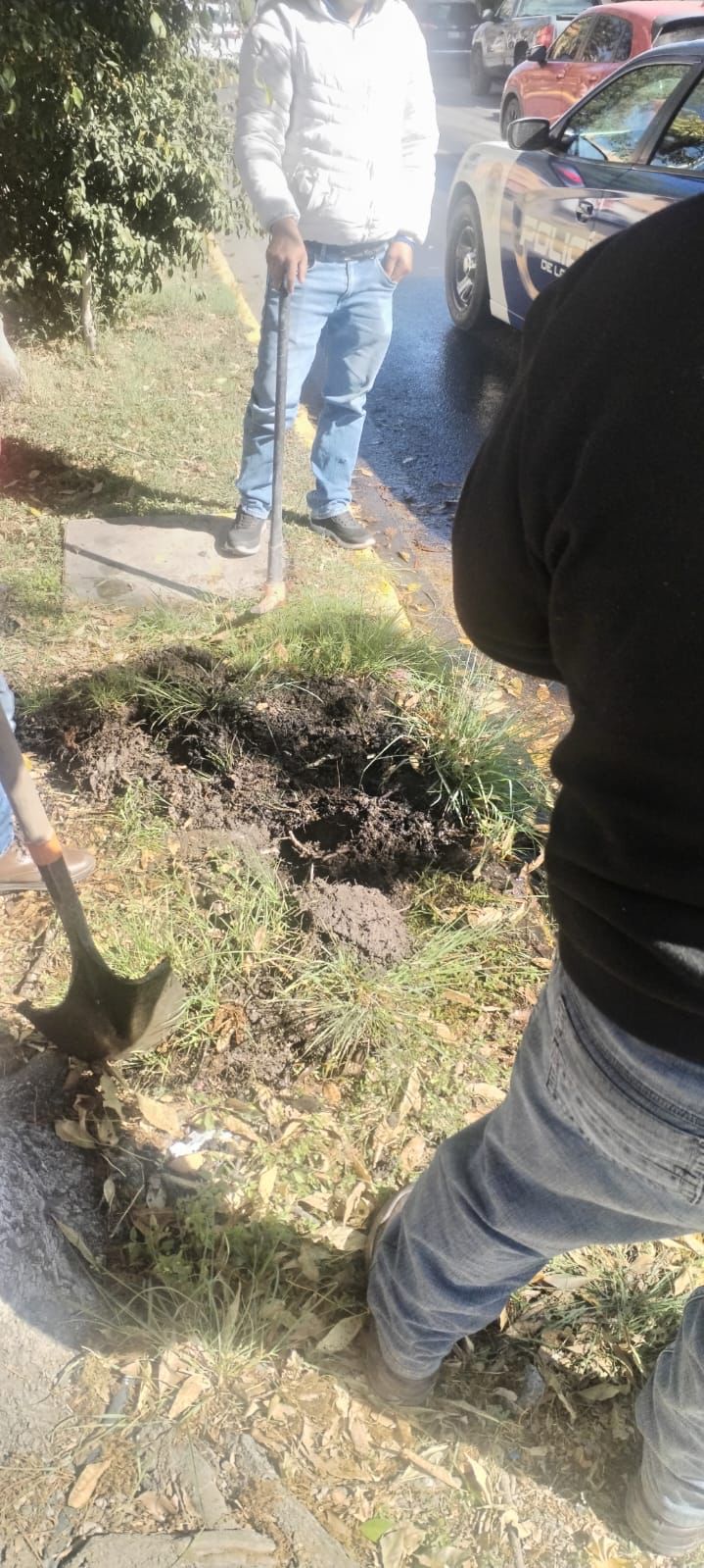 Interapas investiga posible toma clandestina en la avenida Mariano&nbsp;Jiménez