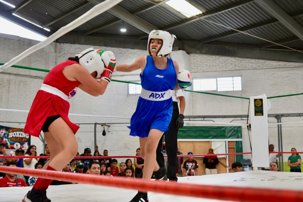 VILLA DE POZOS CONVOCA A FUNCIÓN DE BOXEO OLÍMPICO “GUANTES&nbsp;ROSAS”