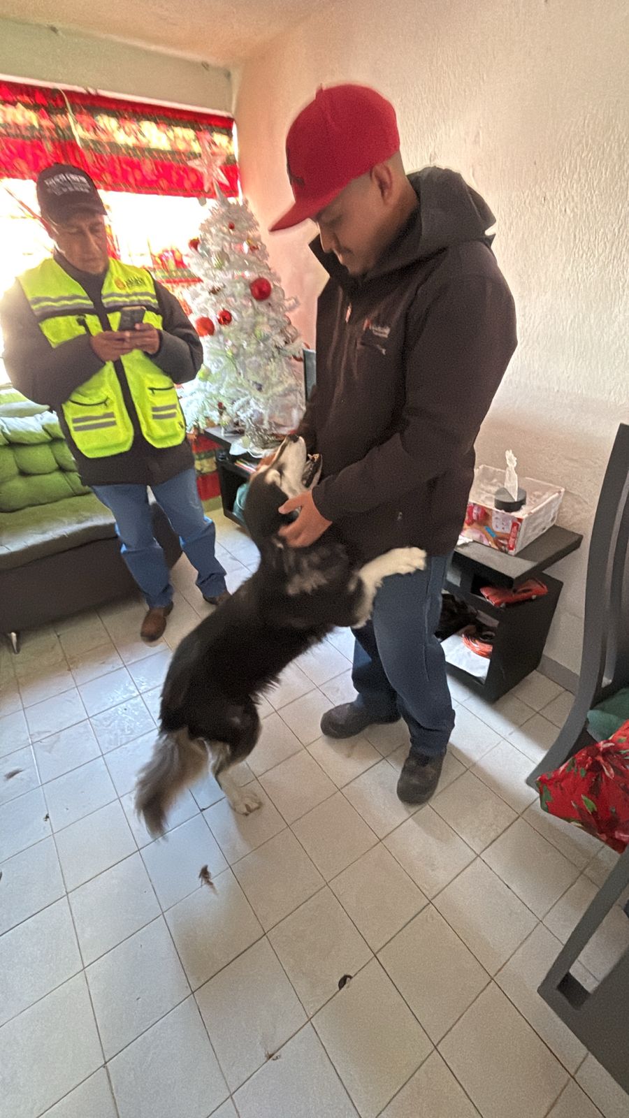 VILLA DE POZOS ATIENDE DENUNCIAS POR MALTRATO ANIMAL