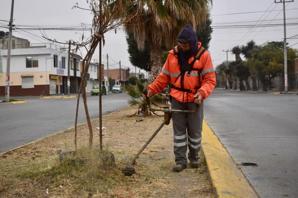 Refuerzan mantenimiento de áreas verdes en Avenida Observatorio y Jardín de San Miguelito