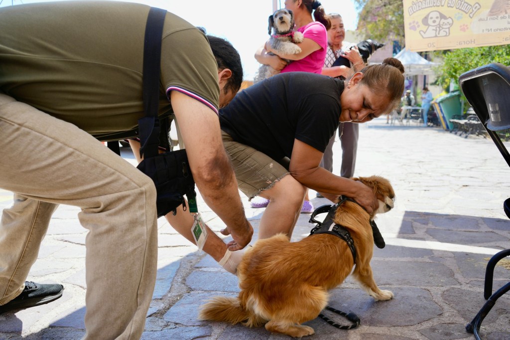VILLA DE POZOS PROTEGE LA SALUD ANIMAL