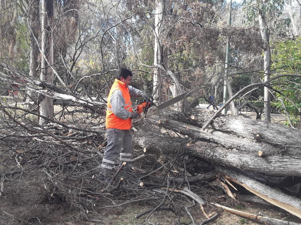 Servicios Municipales refuerzan acciones en el Parque de Morales