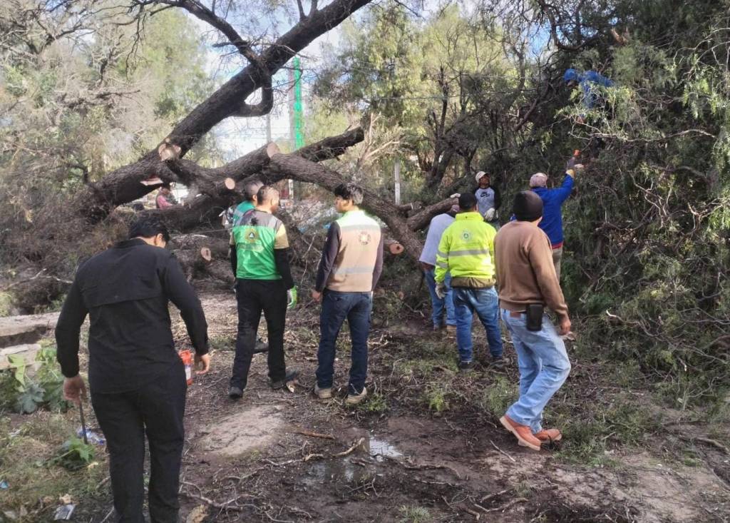 PROTECCIÓN CIVIL DE SOLEDAD ACTIVA ATENCIÓN PERMANENTE ANTE FUERTES VIENTOS