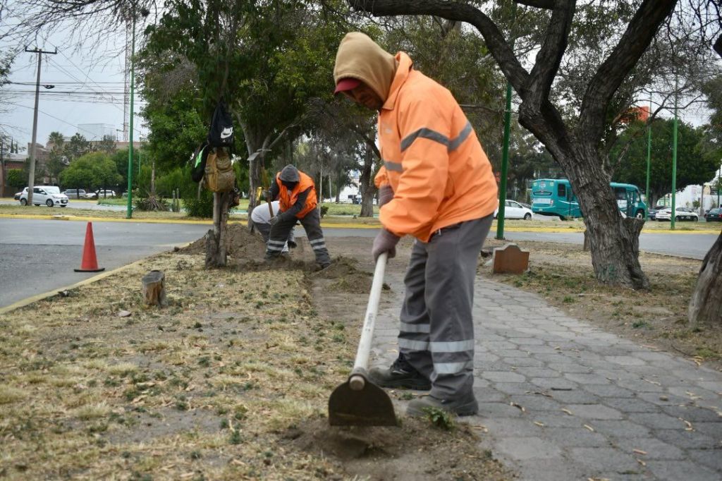 Se habilitan xerojardines en la ciudad para hacer de San Luis Capital más&nbsp;sustentable